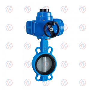 電動(dòng)對(duì)夾蝶閥